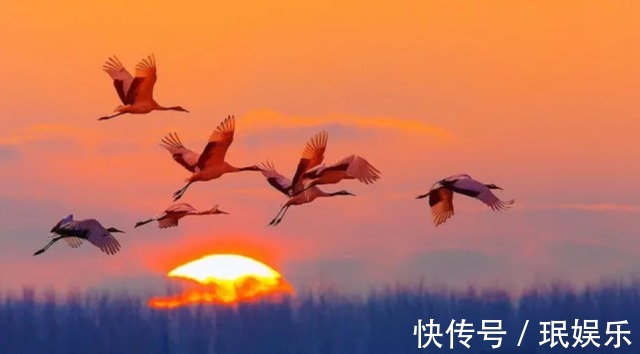 易学大师#一个人,若能悟透《易经》中的这三条“天机”,今后必成大器