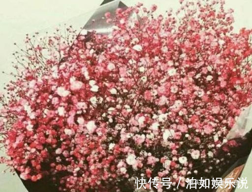 摩纳哥公爵|喜欢牡丹,不如养珍品玫瑰“摩纳哥公爵”,妖艳似美姬,沁人心脾