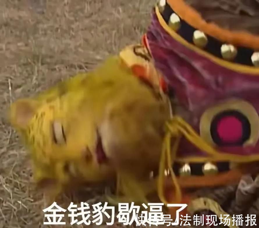 发财|2022年最火头像《金钱豹》是什么梗?他就是想发财 他有什么错