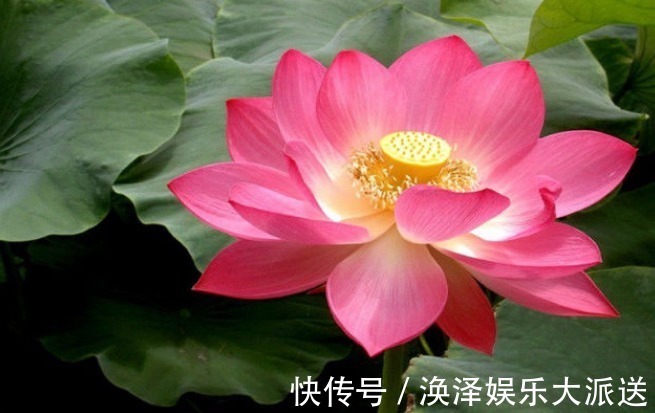 孝顺|孩子出生在阴历这3天,孝顺乖巧出人头地,父母享福生活美好