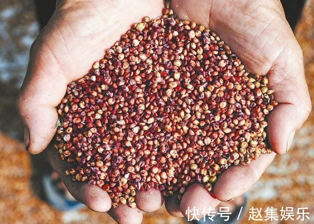 排毒养颜|黄帝内经“五谷”养五脏,怎么食用很重要,告诉你答案