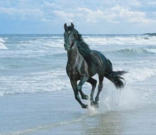  春秋政治家晏婴的故事：折冲樽俎，二桃杀三士，智救养马人养鸟人