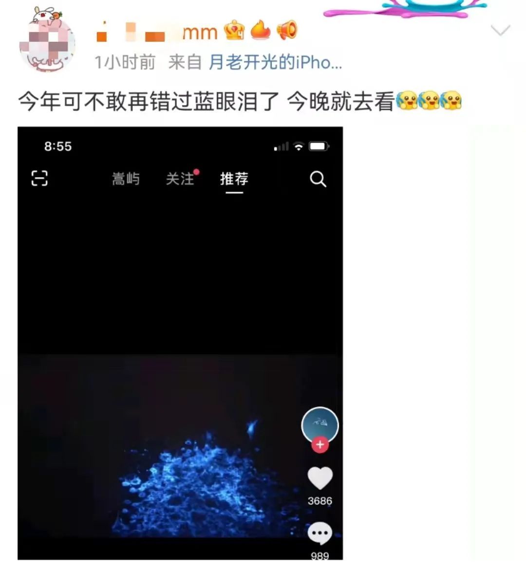 海峡导报|突发！厦门海沧湾公园人人人人人