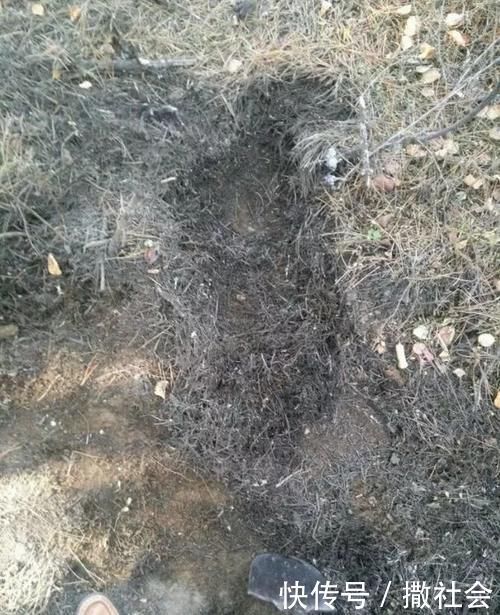 如果你有5个“坏习惯”，恭喜你，是养花高手！