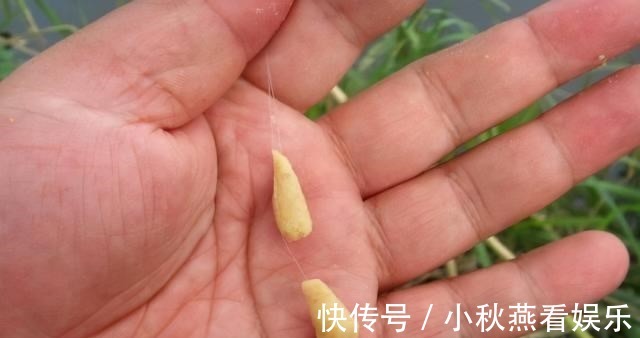 搭配|浅谈双钩的饵料搭配，科学搭配可提高钓鱼效率