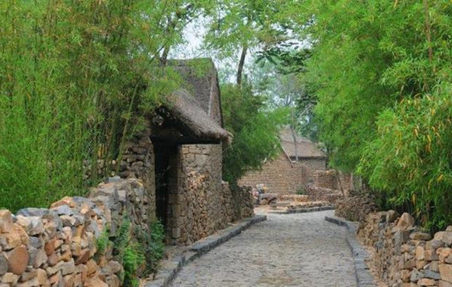 农村|农村院子里最适合种的5种树，不但寓意好，而且美观又实用！