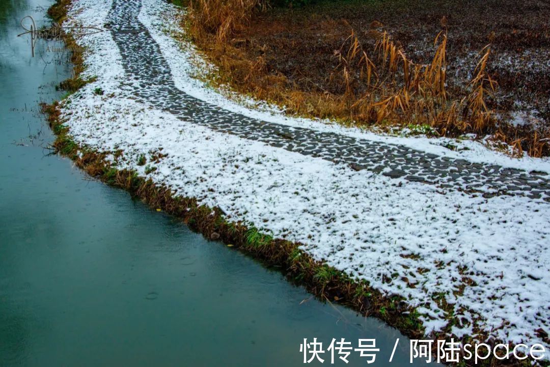 耳听八方|在雨雪天气游玩西溪湿地,风景很美但也要当心这些地方