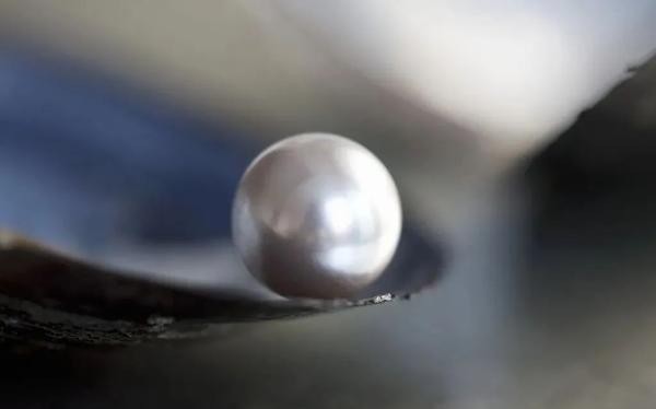 相遇|阎立本一句话救了狄仁杰,唐代两大顶流这样相遇