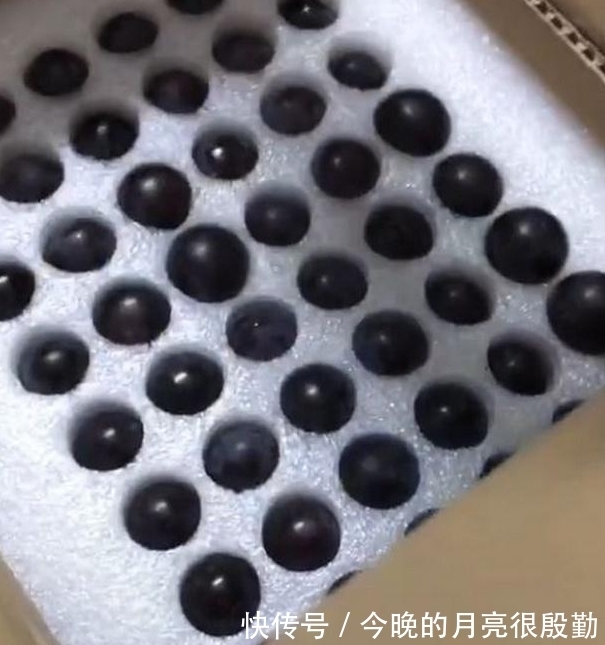 生鲜类|姑娘网购上瘾, 18元买一箱“精品葡萄”, 打开快递, 网友笑喷了