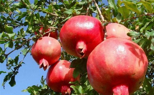 中年|女性担心老太快，多吃3种食物，清理肠胃，排毒瘦身，肌肤更细腻