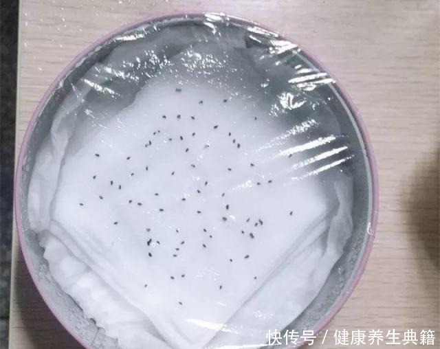 养花不生根赶紧塞团卫生纸,大白根蹭蹭冒!养花不生根赶紧塞团卫生纸,大白根蹭蹭冒!