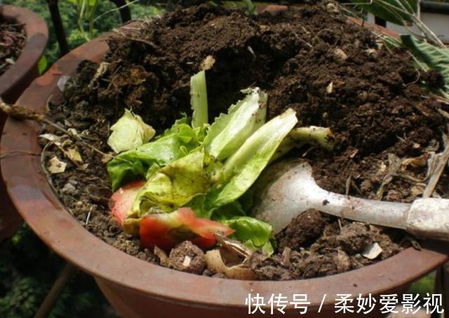 营养土|养花营养土不用买,4种材料搭配起来,松软又肥沃,养啥花都旺