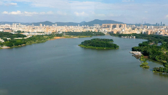 黄金围|楼市新领袖!江景顶豪、超级地标…谁是2022最受关注新盘?