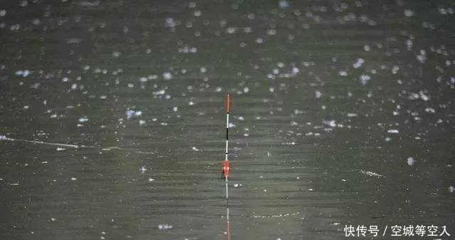 这篇|不知道用七星漂还是立漂,看完这篇就知道了