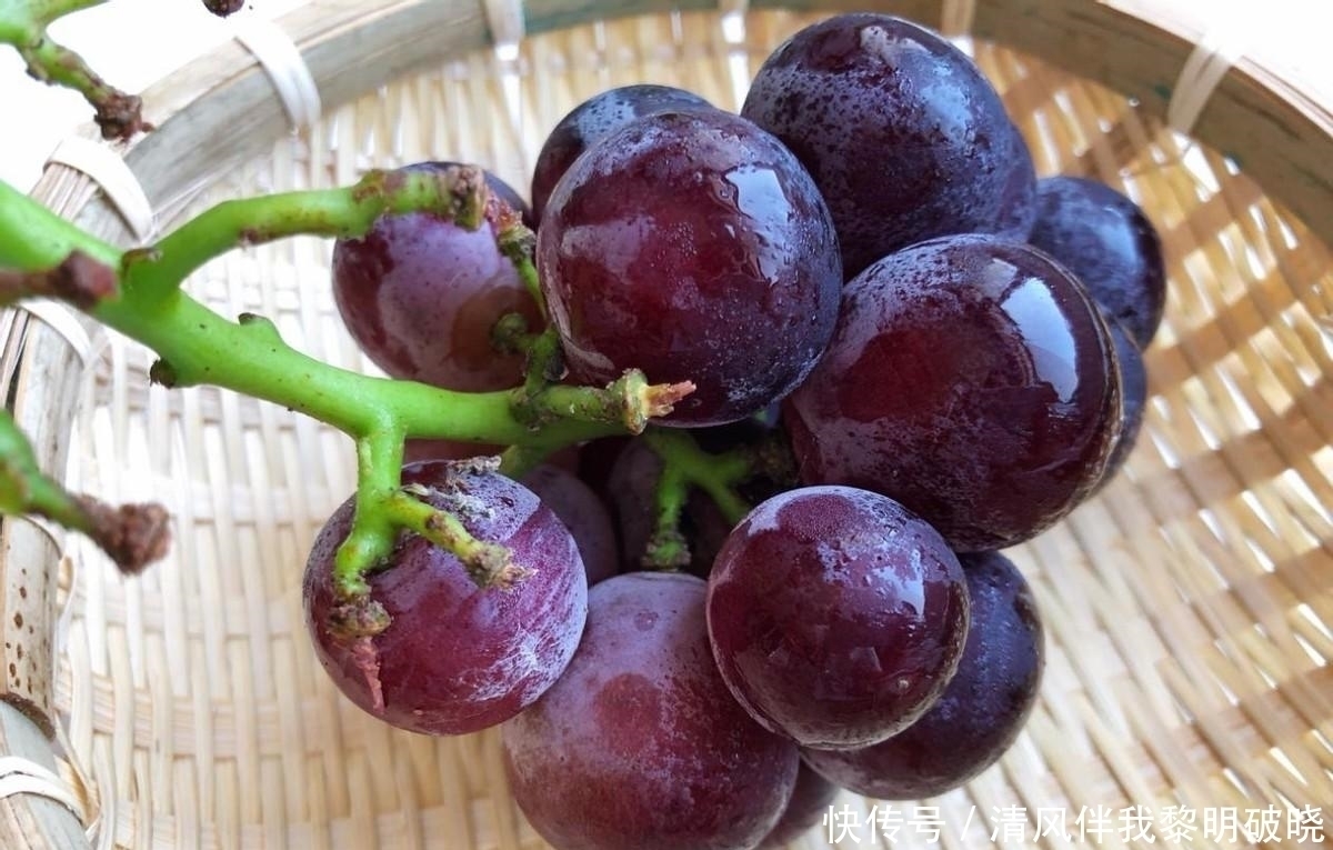 喜欢吃果冻不用花钱买,自己在家就能做,没有添加更健康