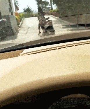 |搞笑GIF:妹子,你是不是第一次骑车?电动车是有刹车的