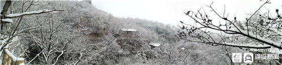 初雪 淄川美的不像话却像画|组图 | 初雪