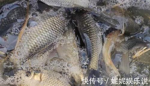 冬钓讲究人找鱼，选择这些位置做钓点，都是鱼儿扎堆的地方！