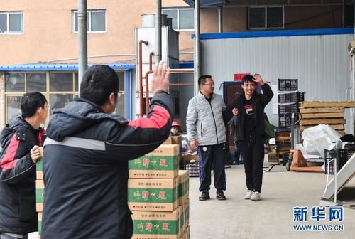 新华社发|黄土高原上的电商“大拿”