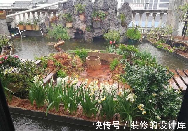 鱼池|为了露台他买下顶楼,一番大改后过上了田园生活,让人羡慕!