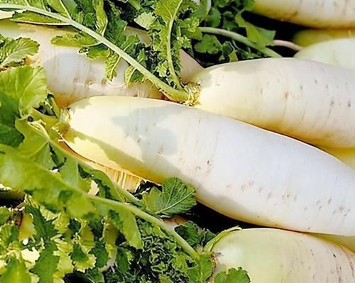 维生素c|会吃的人更健康,3种食物离不开,排毒养颜,身体棒棒哒!