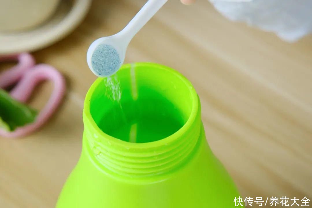 给花浇水掺点白醋,植物根比萝卜还粗,健壮不黄叶