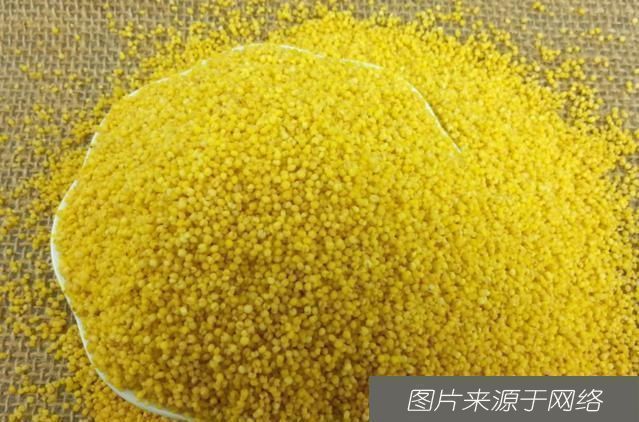 爱喝小米粥的人,长寿不会远离你,但勿和此物搭配,早知早好