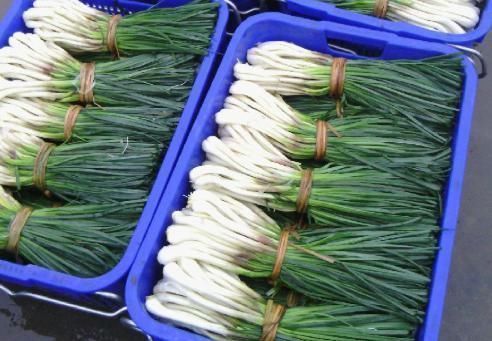 田中角荣|像葱又像蒜，北方很少人认识，出口日本成高端菜，被誉为菜中灵芝