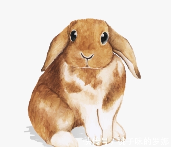 横财|11月1号开始财运大爆发,运势相伴,财源广进,喜事接二连三