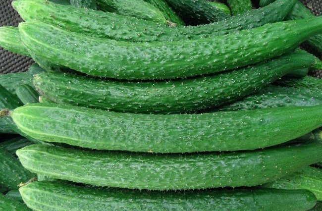 禁忌|常吃黄瓜对身体好，但吃黄瓜有''4大禁忌''，还有很多人不知！