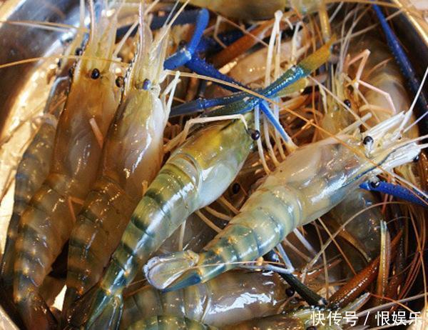  世界上最“美味”的虾之一，肉质鲜美口感爽滑，是难得的美味！