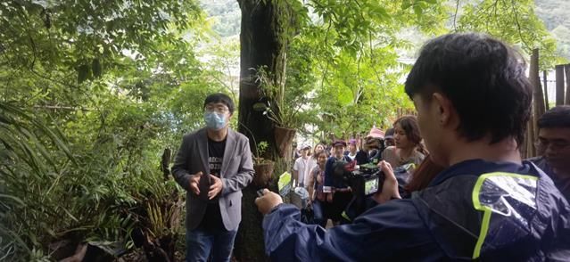 带你了解“中华九大仙草”之首——铁皮石斛|聚焦COP15云南生物多样性 | 铁皮石斛