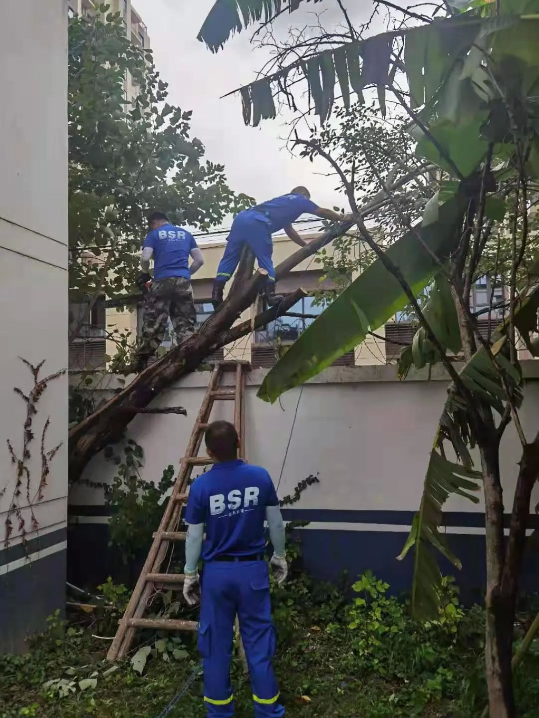 台风|风里雨里，桐乡这抹“志愿红”一直温暖你！