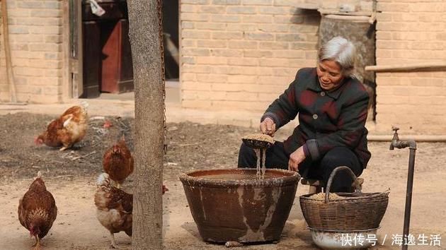 中年|一味不被人熟知的良药，李时珍却说它善于“补气除热、敛汗止汗”