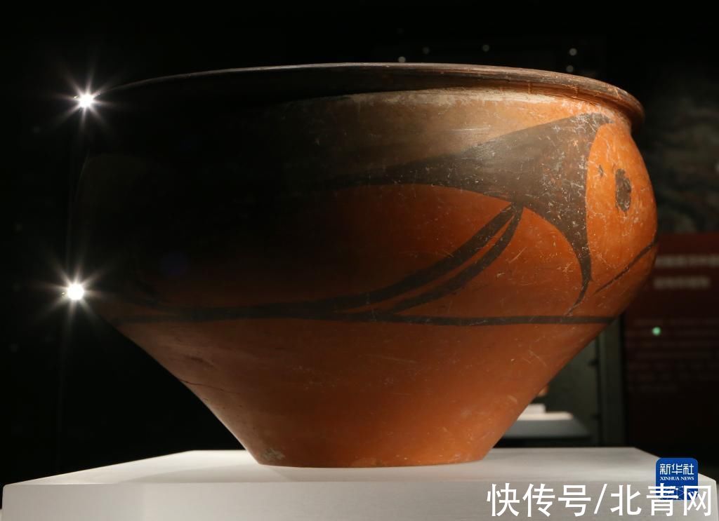 仰韶文化@新华全媒+|走进庙底沟仰韶文化博物馆