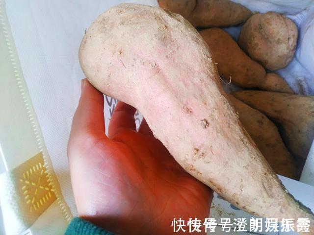 父亲|保存红薯，70岁的父亲教我1个土方法，红薯经久耐放，越放越甜