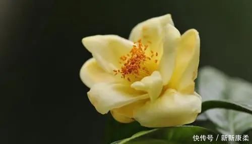 木耳多糖|糖尿病人,不改正四个行为,血糖会更高,坚持“4个一”,能救命