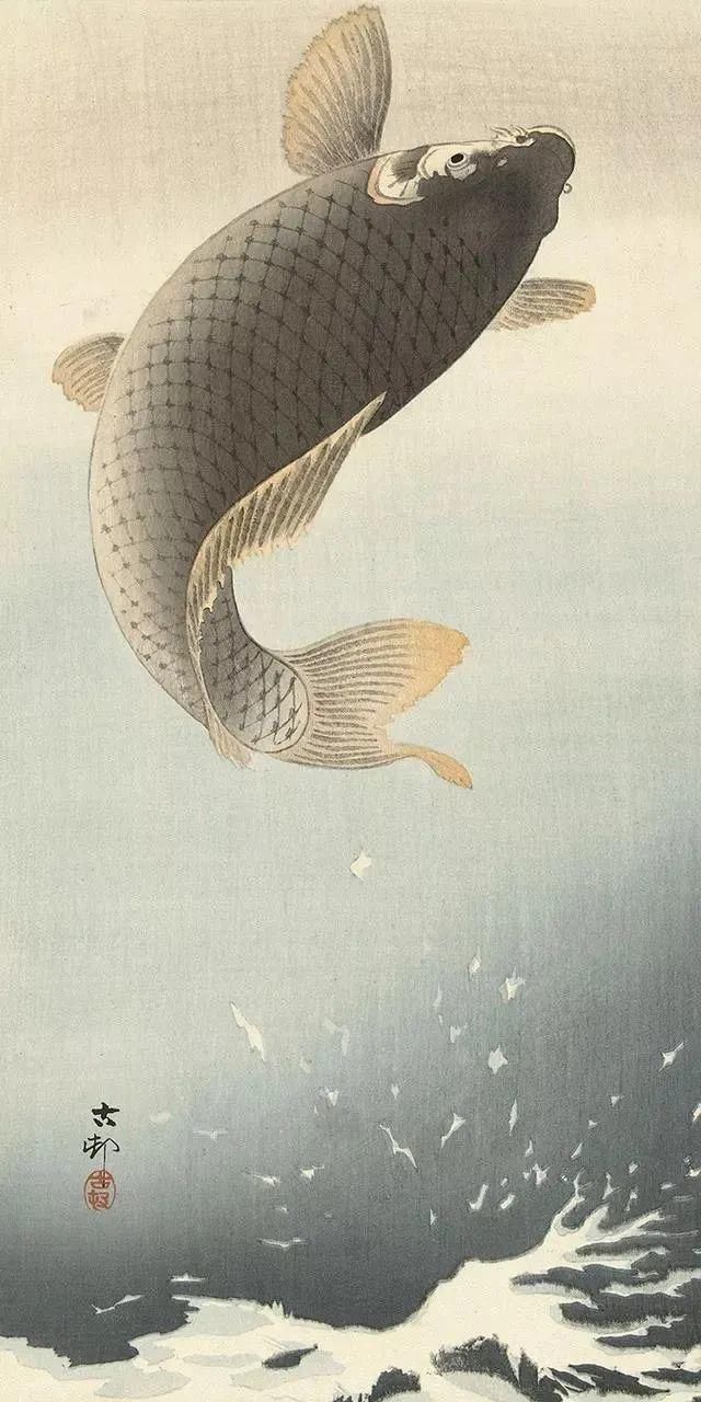 日本绘画大师的花鸟画，淡雅清新
