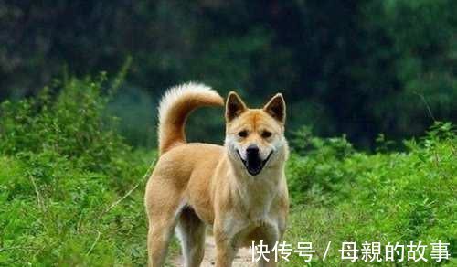 产妇|俗话说,有福之人春秋生,无福之人夏冬生,你听说过吗