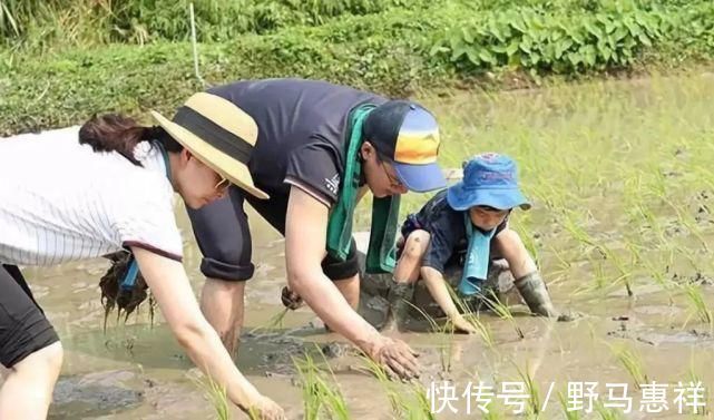 孩子|孙子打针奶奶却火了祖孙俩表情神同步，网友真是亲孙子