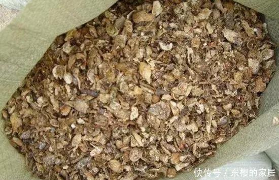 养花旧土别丢，掺入这“3样”，肥得流油不板结，养花太旺了