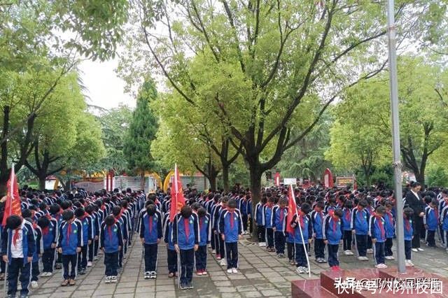 袁隆平|珍惜粮食 杜绝浪费——邓州市刘集镇中心小学用实际行动缅怀袁隆平