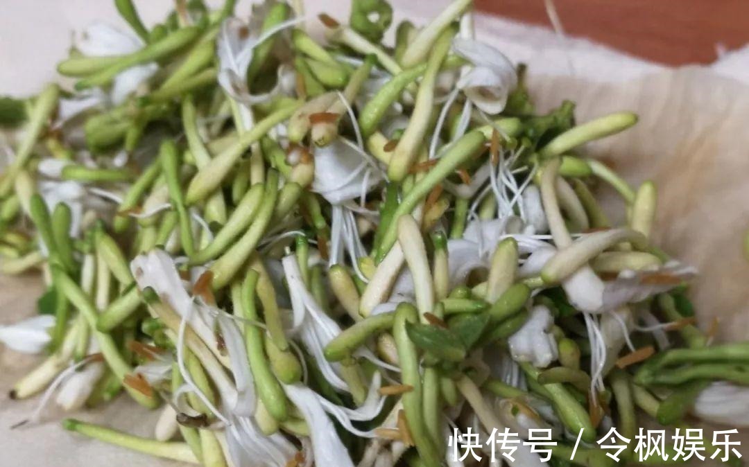 老中医最爱的8种花，一盆堪比小药箱，摘片叶子就能泡水喝！