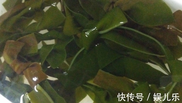 软坚散结|患上甲状腺结节别害怕,几种食物换着吃,软坚散结或许不用吃药