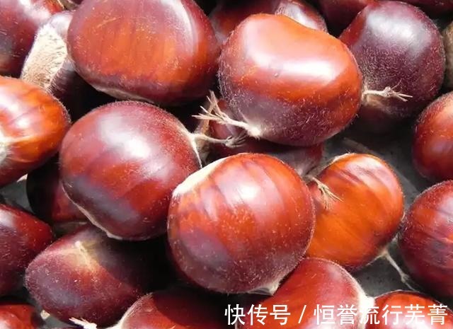 栗子肉|剥栗子教你正确的方法,加上一步,栗子煮好后自动张开!