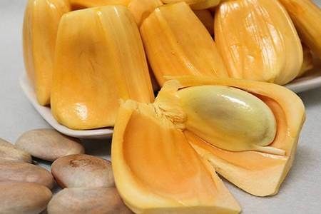 菠萝蜜核的功效与作用 菠萝蜜核有哪些不知为人的好处
