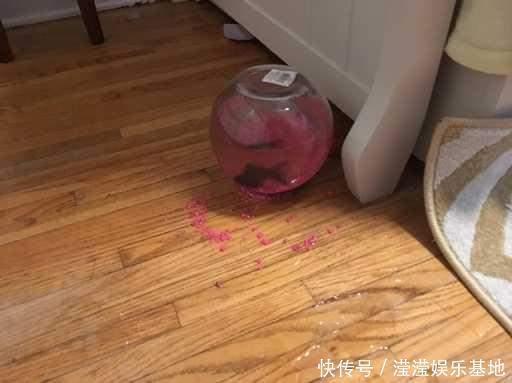幸运女神|这样逆天的运气！肯定是上辈子拯救了世界吧！