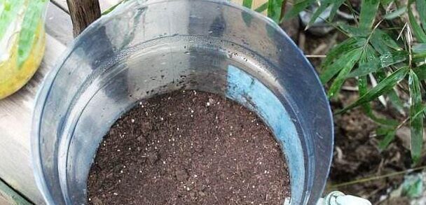 养花不用买肥料,一个小窍门,生活垃圾变成肥沃透气松软的有机肥