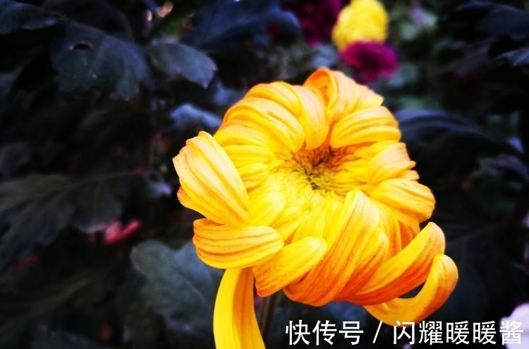 沁园春$七绝 读《道德经》偶得(外四首)