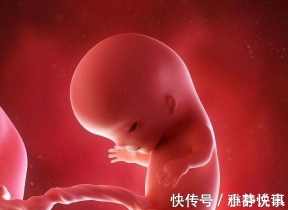 宝宝|高智商的胎儿，孕期多半会有3个表现，看你的胎宝中招了吗